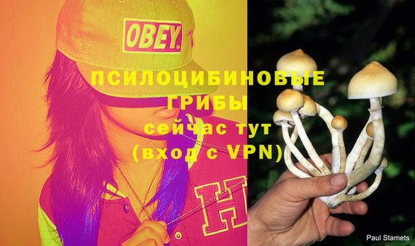 бошки Аркадак