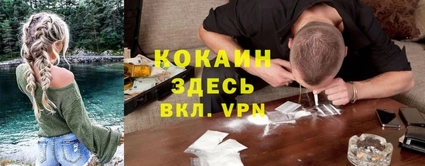 мет Арсеньев