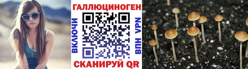 Псилоцибиновые грибы GOLDEN TEACHER  Мантурово 